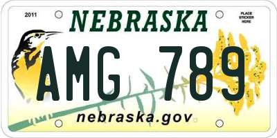 NE license plate AMG789