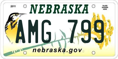 NE license plate AMG799