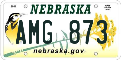 NE license plate AMG873