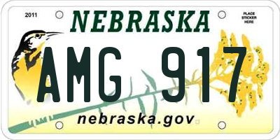 NE license plate AMG917