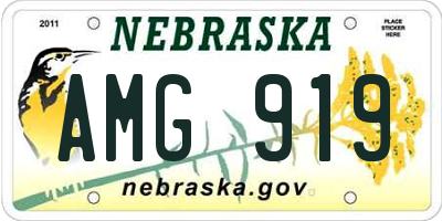 NE license plate AMG919
