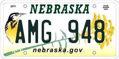 NE license plate AMG948
