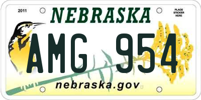NE license plate AMG954