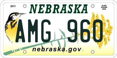 NE license plate AMG960