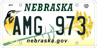 NE license plate AMG973