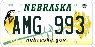 NE license plate AMG993