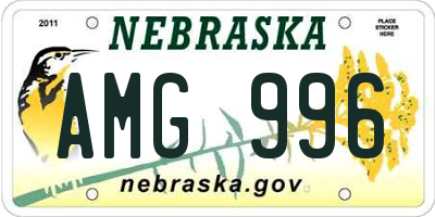 NE license plate AMG996
