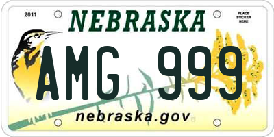 NE license plate AMG999