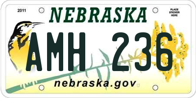 NE license plate AMH236