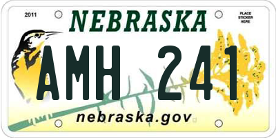 NE license plate AMH241