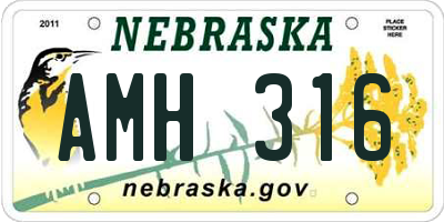 NE license plate AMH316
