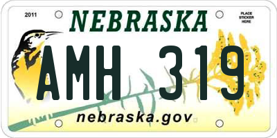 NE license plate AMH319