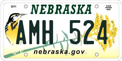 NE license plate AMH524