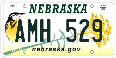 NE license plate AMH529