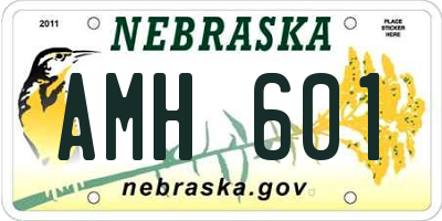 NE license plate AMH601