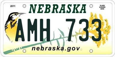 NE license plate AMH733