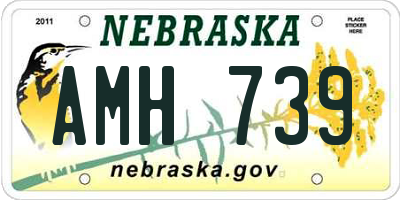 NE license plate AMH739