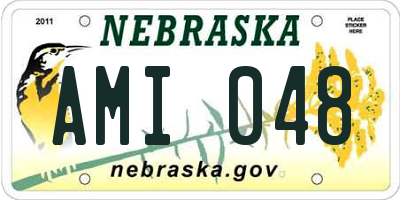 NE license plate AMI048