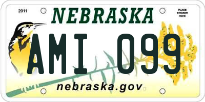 NE license plate AMI099