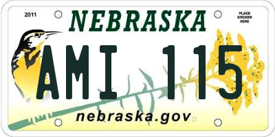 NE license plate AMI115