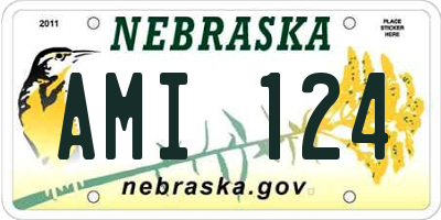 NE license plate AMI124