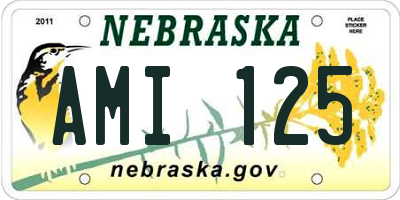 NE license plate AMI125