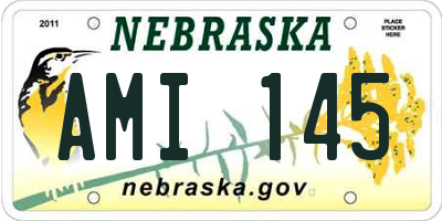 NE license plate AMI145