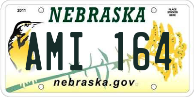 NE license plate AMI164
