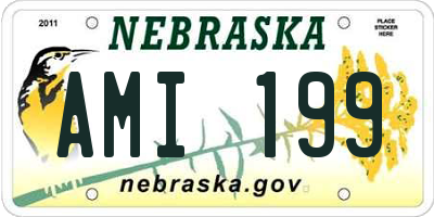 NE license plate AMI199