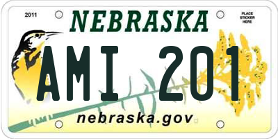 NE license plate AMI201