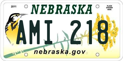 NE license plate AMI218