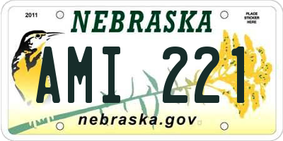 NE license plate AMI221