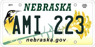 NE license plate AMI223