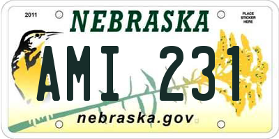 NE license plate AMI231