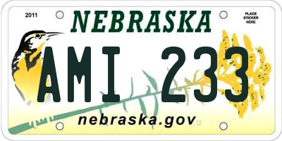 NE license plate AMI233