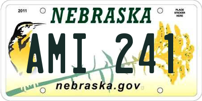 NE license plate AMI241
