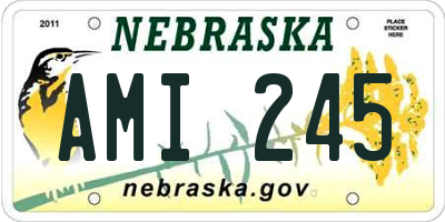 NE license plate AMI245