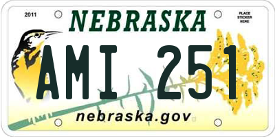 NE license plate AMI251