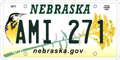 NE license plate AMI271