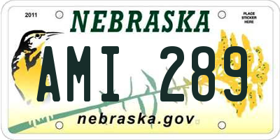 NE license plate AMI289