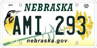 NE license plate AMI293