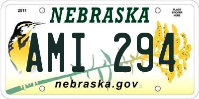 NE license plate AMI294