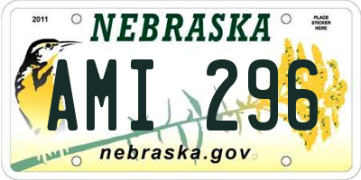 NE license plate AMI296