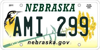 NE license plate AMI299
