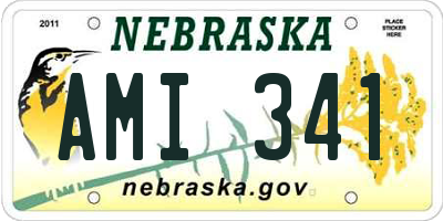 NE license plate AMI341