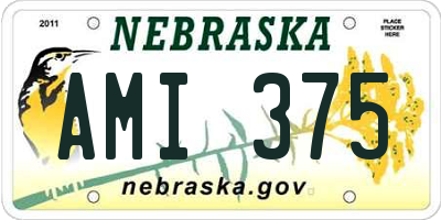 NE license plate AMI375