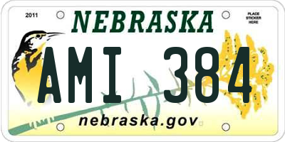 NE license plate AMI384