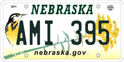 NE license plate AMI395