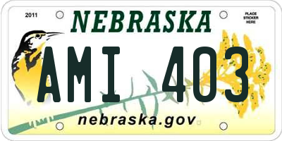 NE license plate AMI403