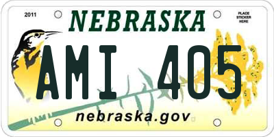 NE license plate AMI405